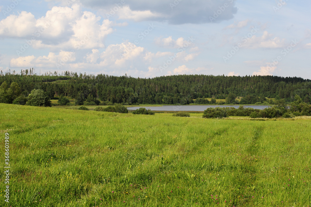 green field and blue sky with clouds