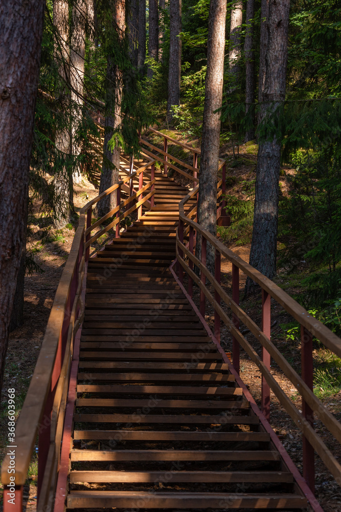 Obraz premium wooden stairs to the forest lake