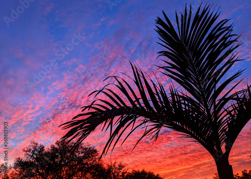 Florida Sunset
