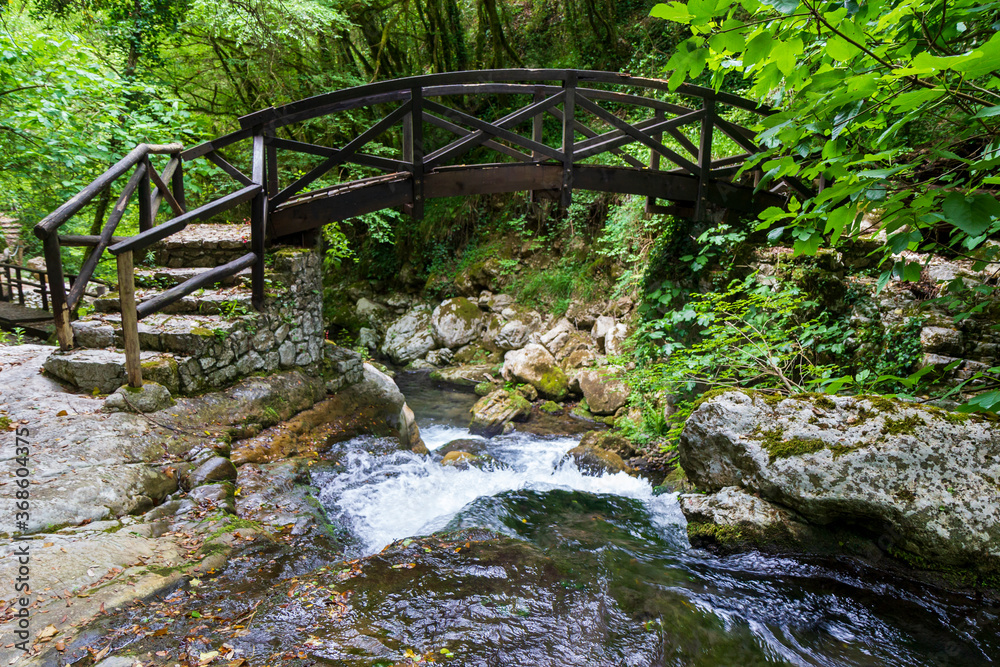 bridge on stream in morigerati in Cilento National Park bridge on stream in morigerati in Cilento National Park