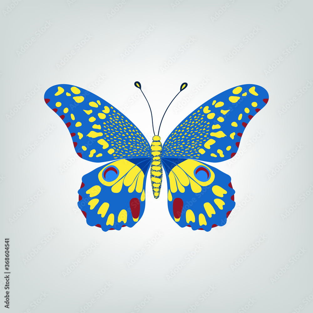 Bright butterfly on a light gray background, vector drawing Bright butterfly on a light gray background, vector drawing