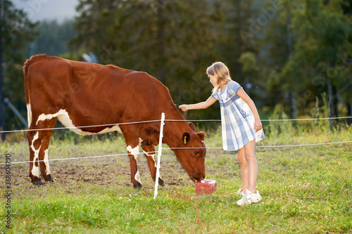 A girl pets a cow. Shot at Tryvann, Oslo, Norway.