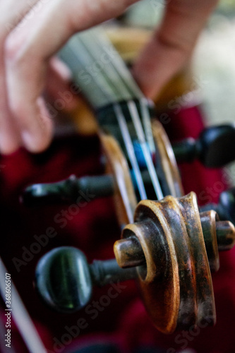 hand with violin