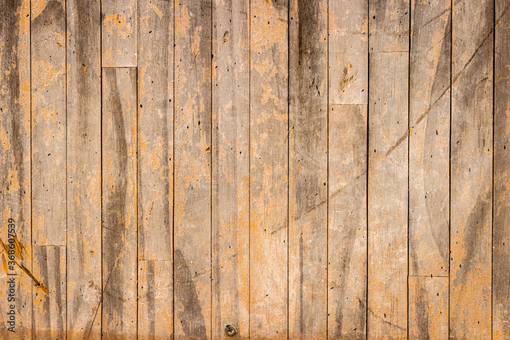 Fototapeta premium Wood texture background