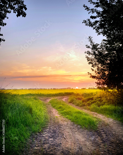 Photos Abendstimmung an einem Feldweg in Mecklenburg