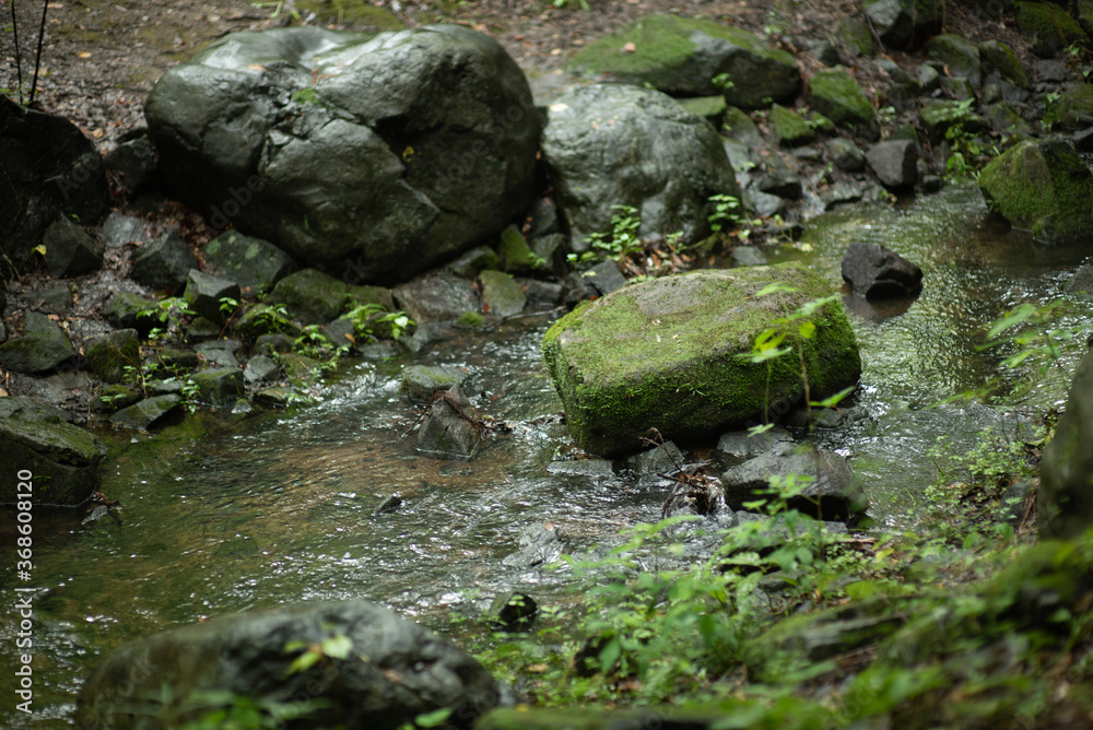 moss on the rocks in a stream moss on the rocks in a stream