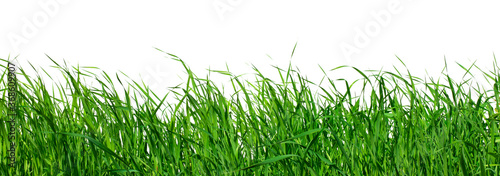 Frame background with realistic green grass isolated on white background