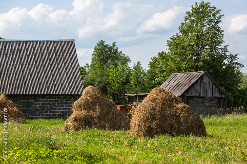 summer landscapes in Latvia