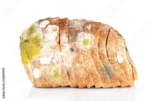 Mildew on a slice of bread. Old loaf of bread, covered with mildew isolated on white background