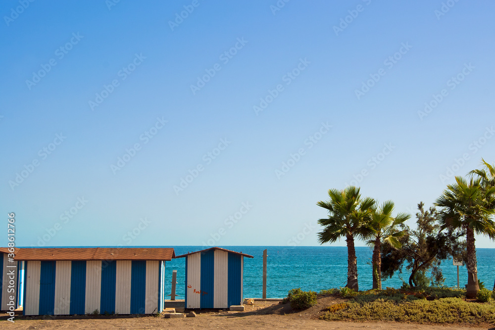 Palm trees on Playa del Penoncillo Torrox Costa Andalusia Axarquia Costa del Sol Spain