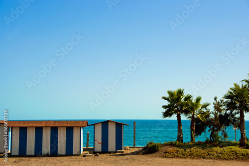 Palm trees on Playa del Penoncillo Torrox Costa Andalusia Axarquia Costa del Sol Spain