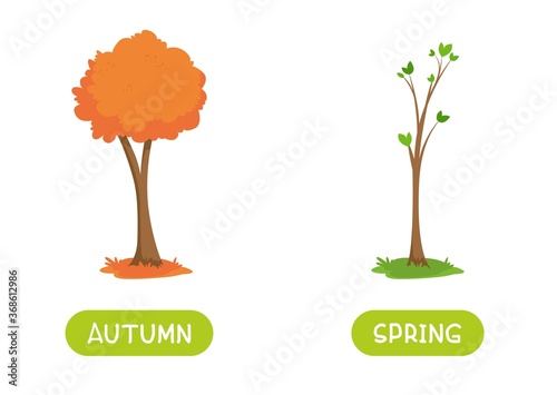 Autumn and spring antonyms word card vector template. Flashcard for english language learning. Opposites concept. A tree with an orange crown and a spring tree with the first leaves.