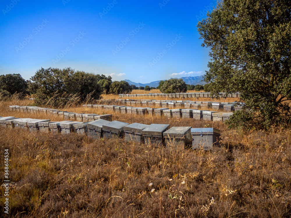 hives in the surroundings of the sierra de guara in huesca aragon spain
