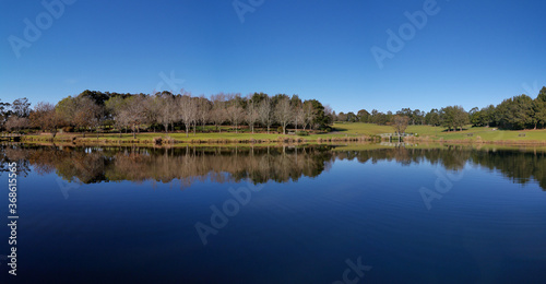 Fototapeta Naklejka Na Ścianę i Meble -  Beautiful morning view of a peaceful pond in a park with reflections of deep blue sky and tall trees, Fagan park, Galston, Sydney, New South Wales, Australia