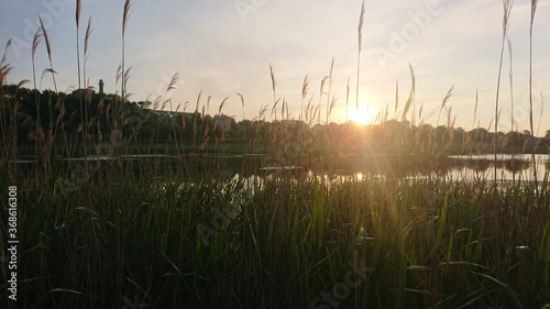 sunrise over the lake