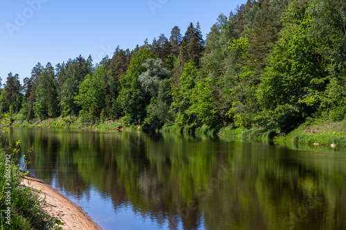 Fototapeta Naklejka Na Ścianę i Meble -  Wild river with reflections