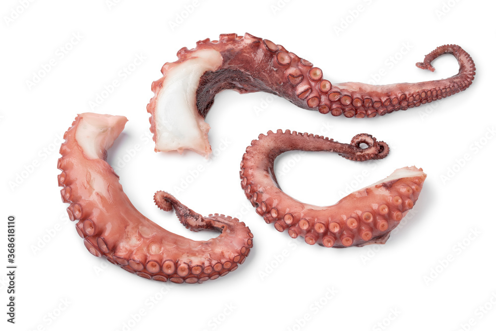 Obraz premium Fresh cooked octopus tentacles