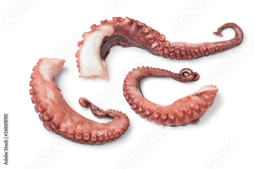  Fresh cooked octopus tentacles