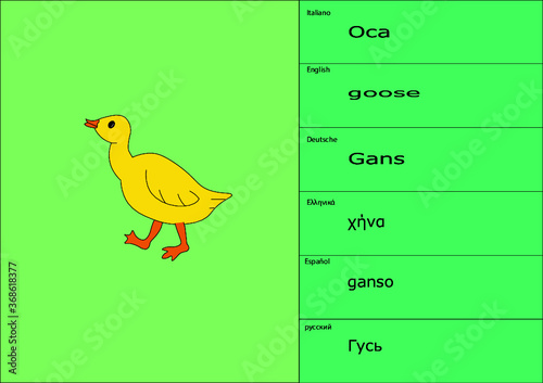 esempio di tovaglia tovagliolo placemate per bambini in multilingue anche come schede studio o raccolta collezione