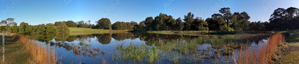 Beautiful morning panoramic view of a peaceful pond in a park with reflections of deep blue sky and tall trees, Fagan park, Galston, Sydney, New South Wales, Australia Beautiful morning panoramic view of a peaceful pond in a park with reflections of deep blue sky and tall trees, Fagan park, Galston, Sydney, New South Wales, Australia
