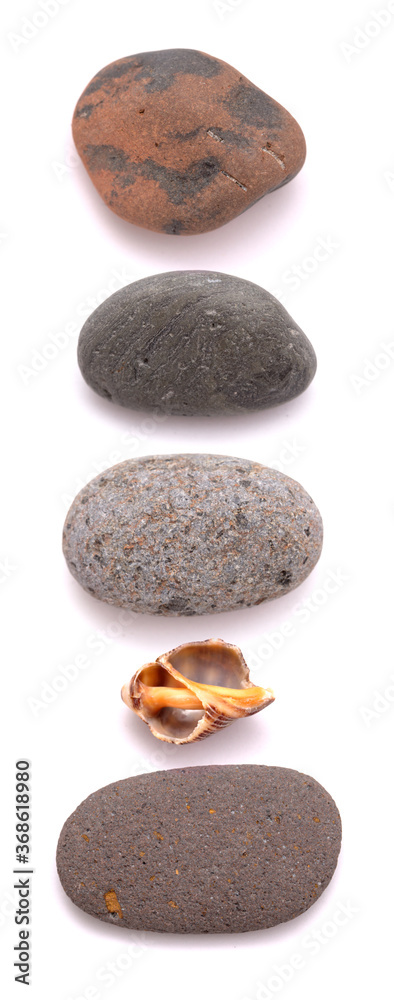 Fototapeta premium Pebbles and beach findings isolated on white background
