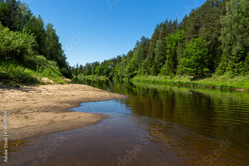 Wild river with reflections