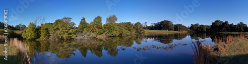 Beautiful morning panoramic view of a peaceful pond in a park with reflections of deep blue sky and tall trees, Fagan park, Galston, Sydney, New South Wales, Australia