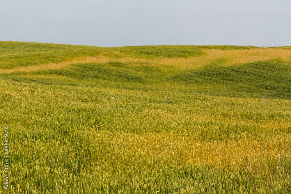 summer landscapes with clouds and fields summer landscapes with clouds and fields