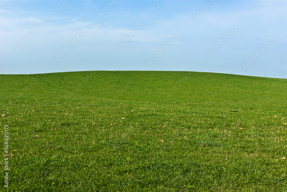 An empty green field with spring grass and clover on a sunny hillside backed by a hazy blue sky. An empty green field with spring grass and clover on a sunny hillside backed by a hazy blue sky.