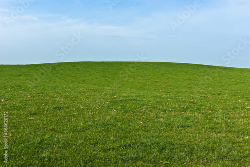 Murais de parede An empty green field with spring grass and clover on a sunny hillside backed by a hazy blue sky