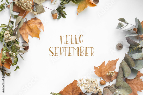 phrase hello september with fall leaves photo