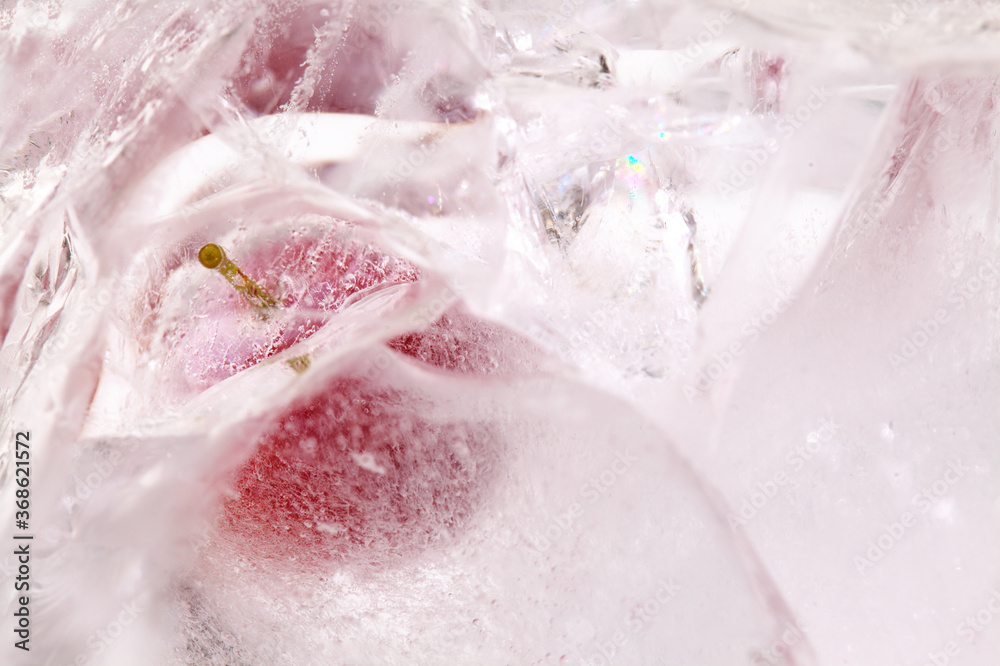 Fototapeta premium Small red plums frozen within a block of ice
