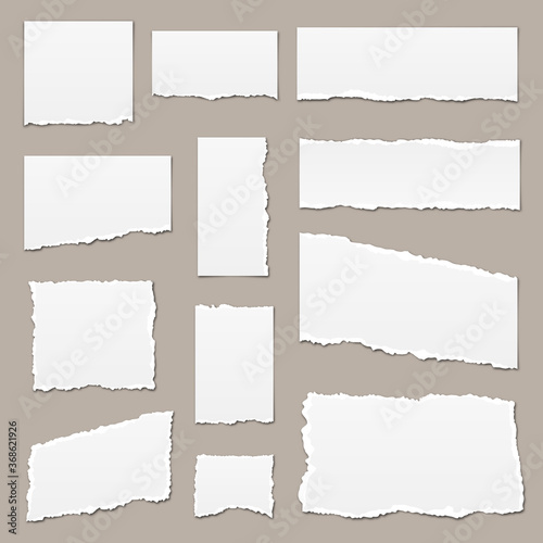 White torn paper. Torn paper scraps. Paper pieces isolated. Ripped paper strips