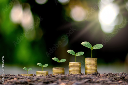 Growing crops on coins stacked on a green and natural blurred background with financial growth ideas.