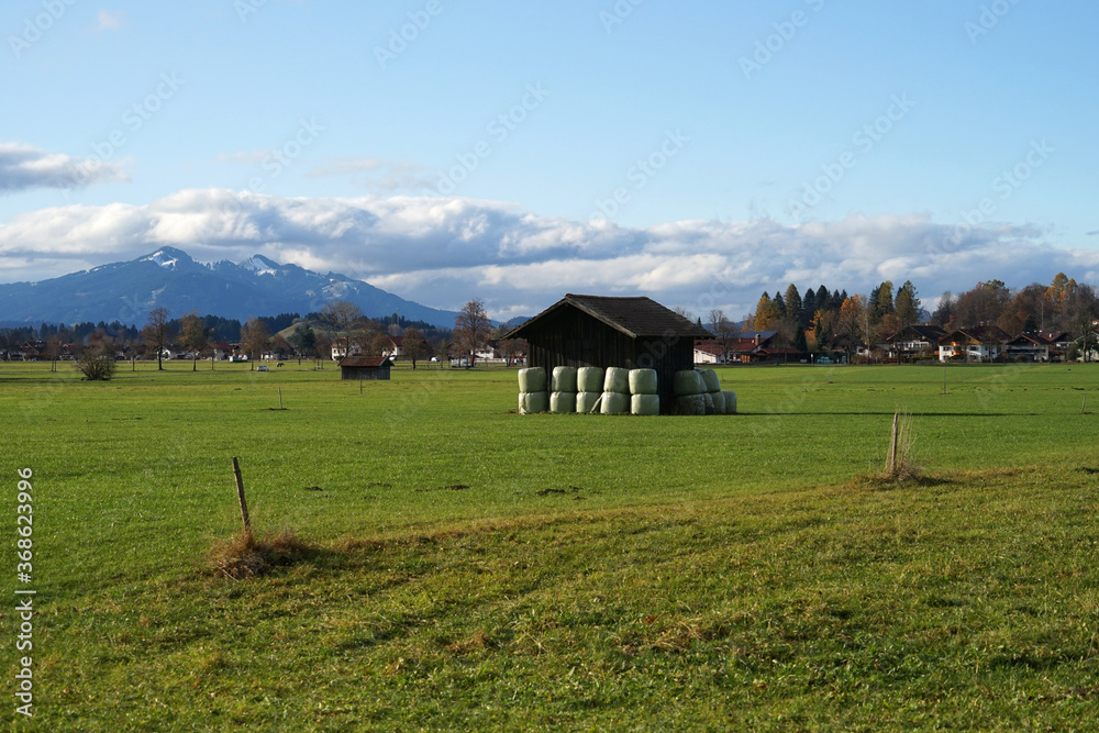 Typical Bavarian meadow under Alps with traditional mow shed used for hay, Fussen, Germany