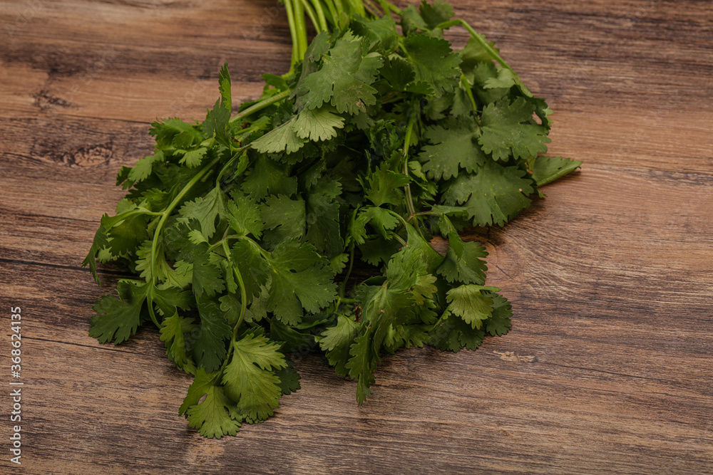 Green coriander or cilanto leaves heap Green coriander or cilanto leaves heap