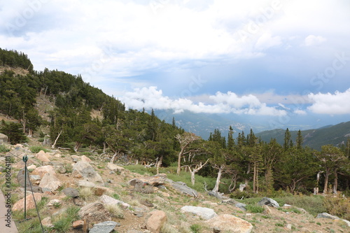 Mount Goliath Natural Area, Mount Evans Colorado © Andy