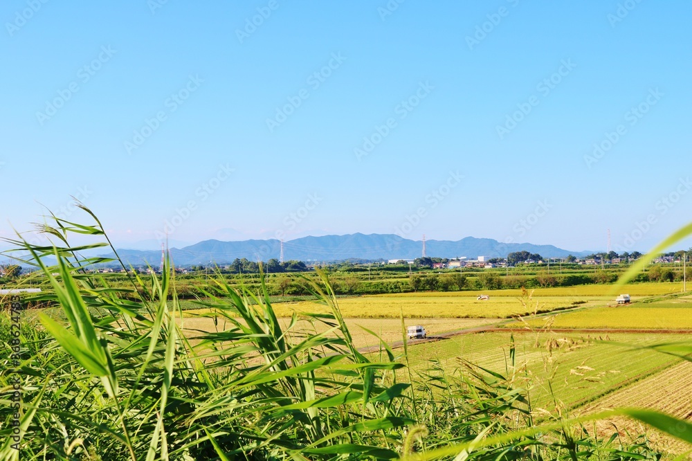 Fototapeta premium 空 田舎 のどか 風景 栃木
