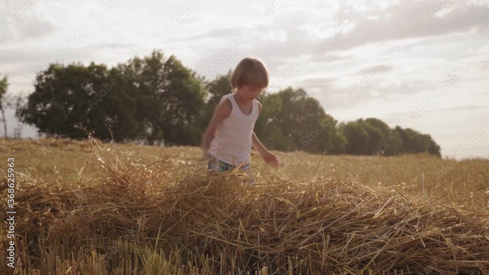Children play with straw. Rest outside the city. Harvesting wheat in the field. Happy childhood. Children play with straw. Rest outside the city. Harvesting wheat in the field. Happy childhood.