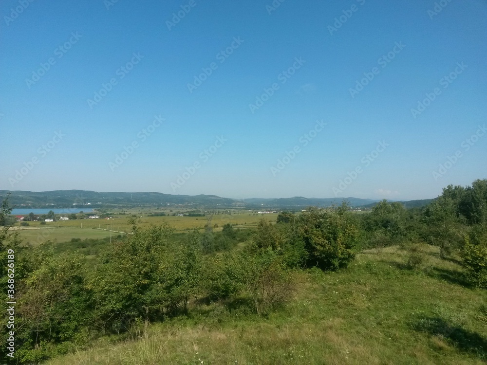 summer landscape with agricultural field near the village on the lake