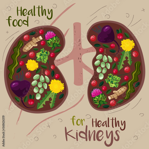  kidneys filled with food good for it's health