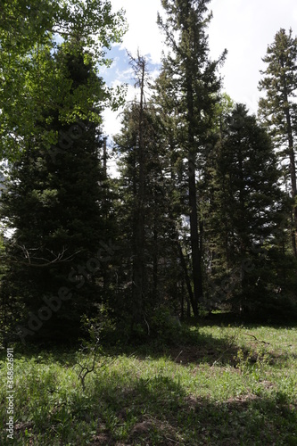 Mount Sneffels blue lake trail Ridgway Colorado