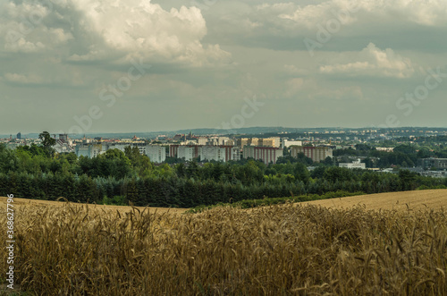 Fototapeta Naklejka Na Ścianę i Meble -  Panorama of Cracow with wheat field, Poland