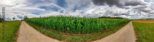 Panorama of a green field with a blue sky and white clouds in the background