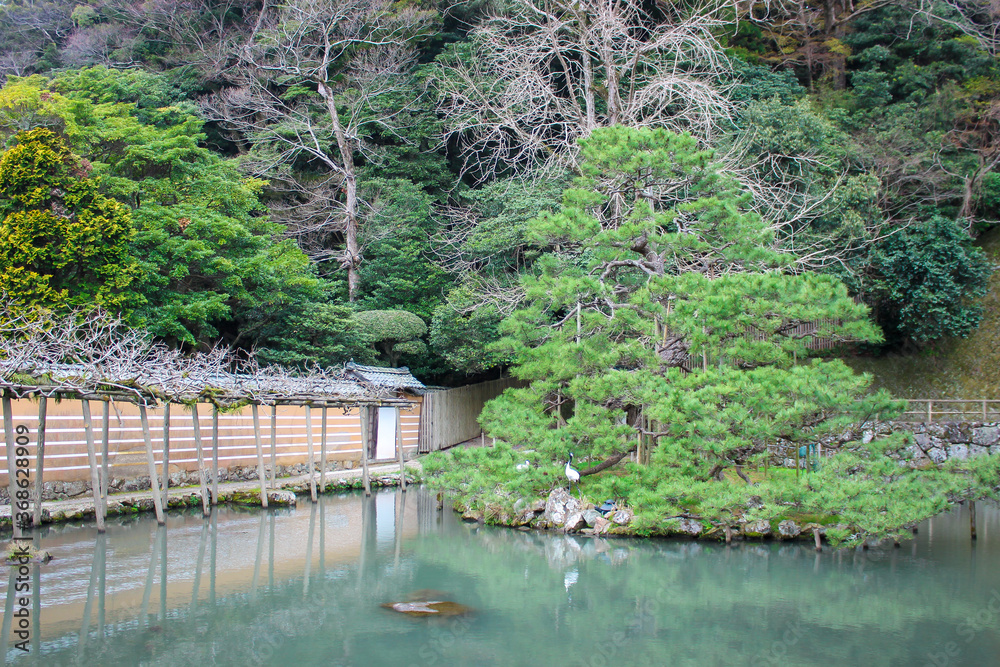 Fototapeta premium 日本庭園