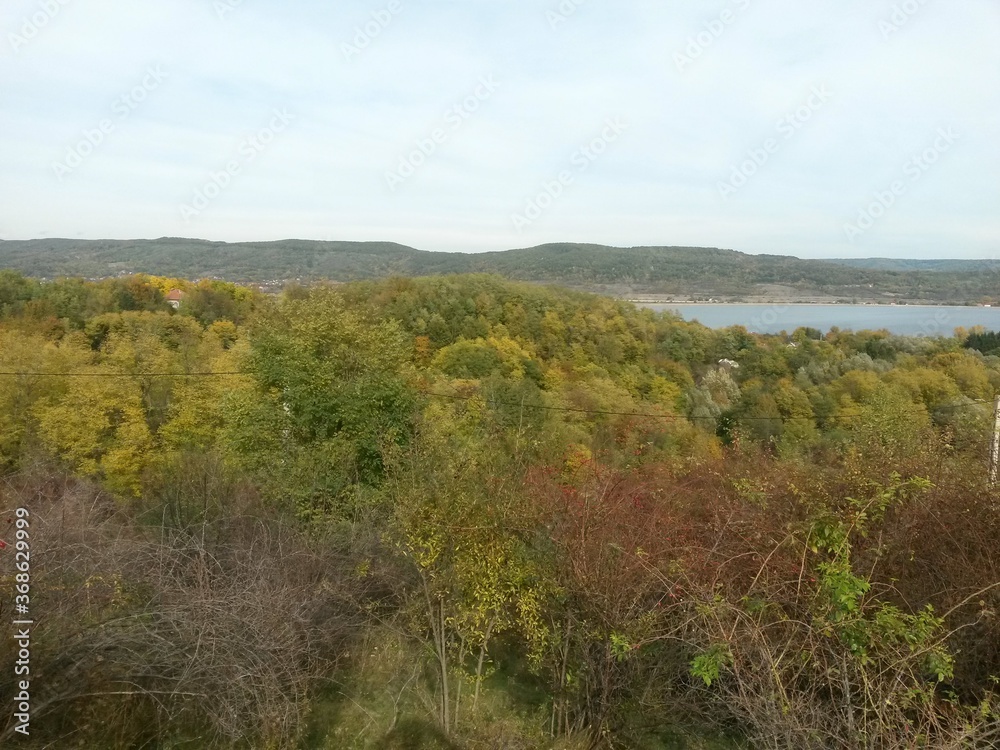 Fototapeta premium autumn landscape in the forest. bright sunbeams in vibrant colors