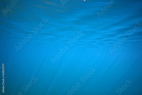 lake background water underwater abstract / fresh water diving background nature underwater ecosystem background