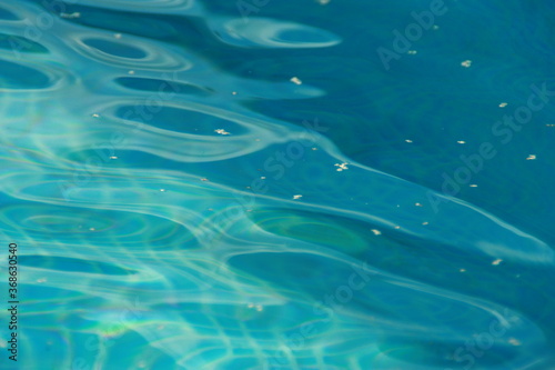 water ripples in the pool