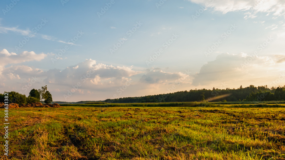 Rural field landscape in Poland, Podlasie region.