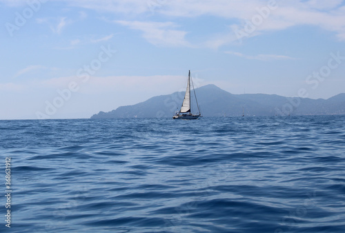 Mare con barca a vela e promontorio di Portofino